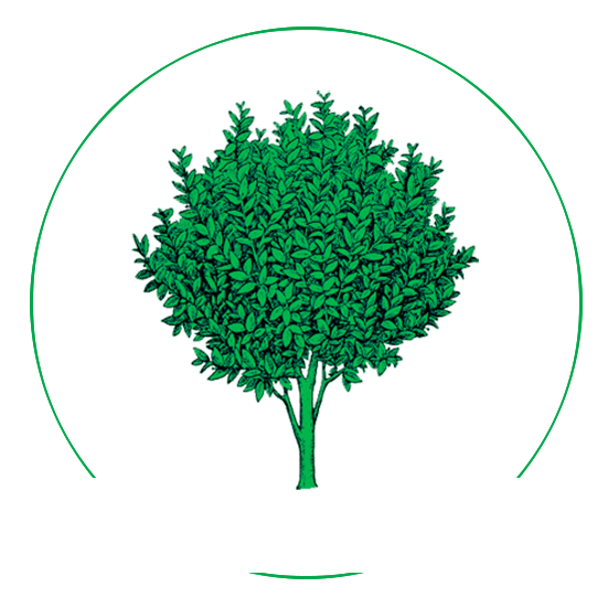 Laurel's Park - Tourers & Caravans